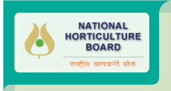 NHB