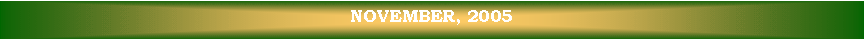 Text Box: NOVEMBER, 2005