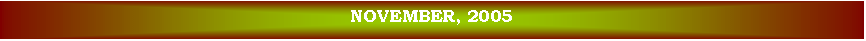 Text Box: NOVEMBER, 2005