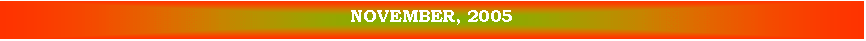 Text Box: NOVEMBER, 2005
